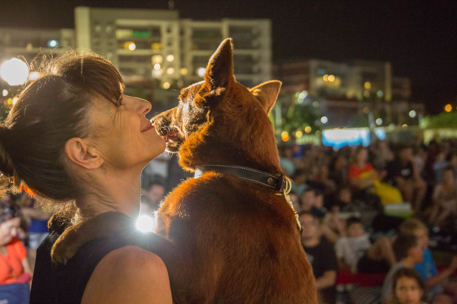 Red Dog: True Blue World Premier 2016